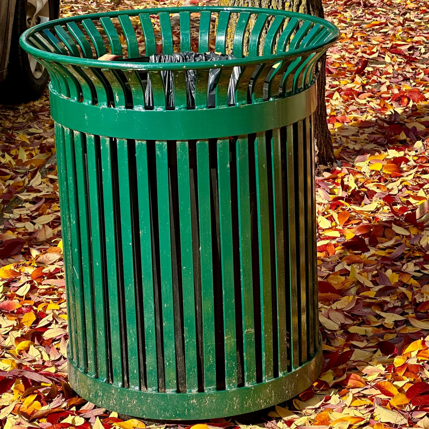 trash bin in a park
